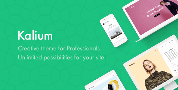 Kalium – Creative Theme For Professionals Kalium – Creative Theme For Professionals