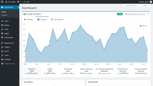 Lara’s Google Analytics – Pro