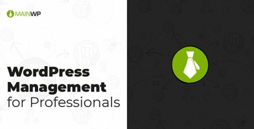 MainWP Time Capsule Extension