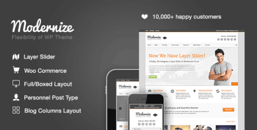 Modernize – Flexibility Of WordPress