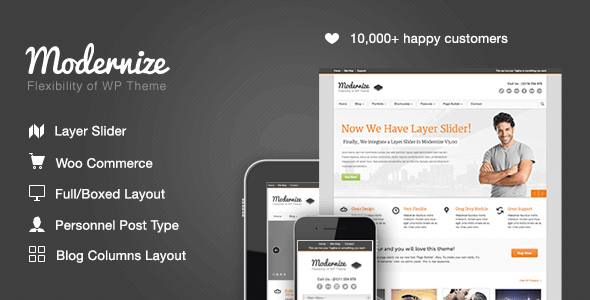 Modernize – Flexibility Of WordPress Modernize – Flexibility Of WordPress