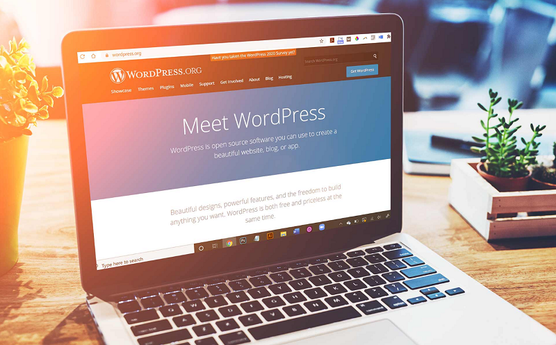 Thiết kế Web WordPress giá rẻ