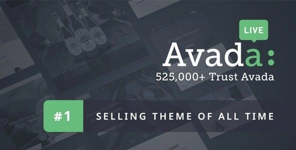 Fusion Builder Custom Post Types and Taxonomies Fusion Builder Custom Post Types and Taxonomies