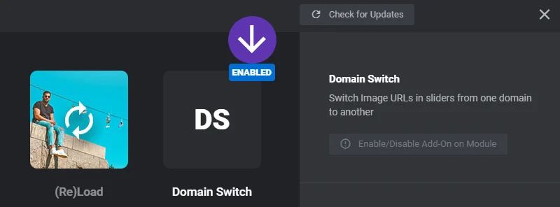Slider Revolution Domain Switch Add-on Slider Revolution Domain Switch Add-on