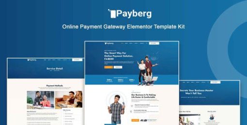 Payberg – Online Payment Gateway Elementor Pro Template Kit