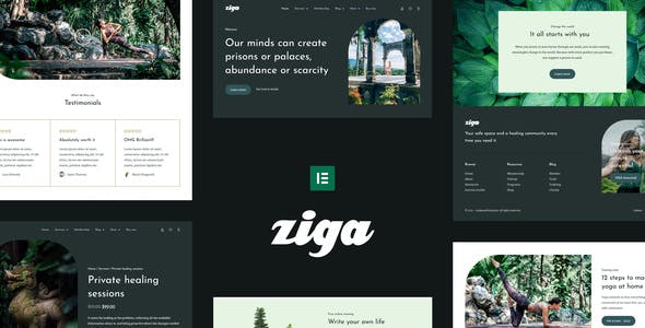 Ziga – Healer & Life Coach Elementor Template Kit Ziga – Healer & Life Coach Elementor Template Kit