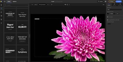 Depicter — Popup & Slider Builder