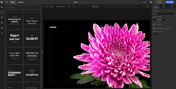 Depicter — Popup & Slider Builder Depicter — Popup & Slider Builder