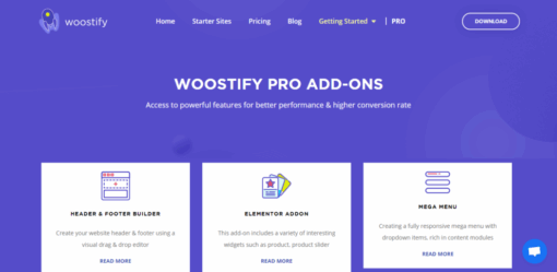 Woostify Pro