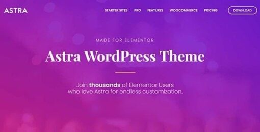Astra Theme