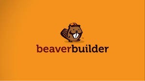 WP Grid Builder – Beaver Builder