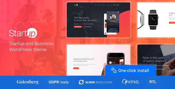 Startup Company Startup Company