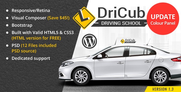 DriCub Driving School DriCub Driving School