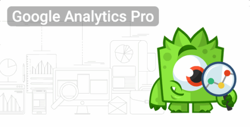 Google Analytics Premium – Monsterinsights