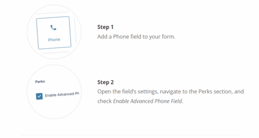 Gravity Perks Advanced Phone Field