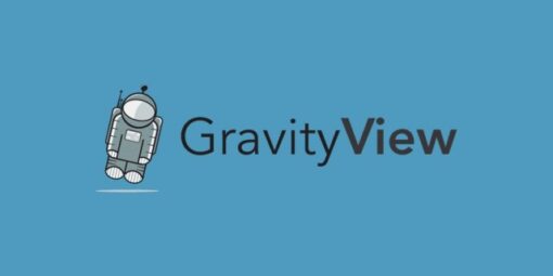 GravityView – Gravity Forms Import Entries
