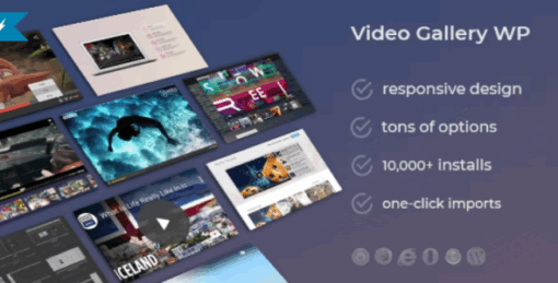 DZS Video Gallery