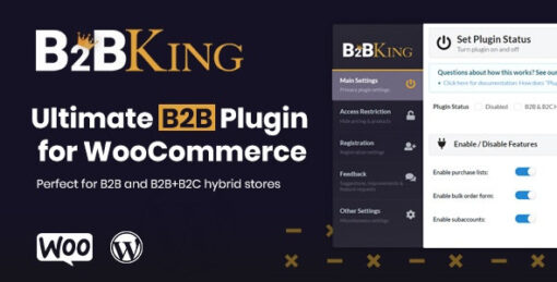 B2BKing Pro