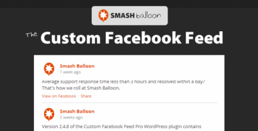 Custom Facebook Feed Pro Smash