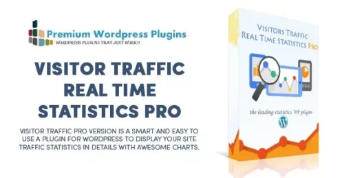 Visitor Traffic Real Time Statistics pro