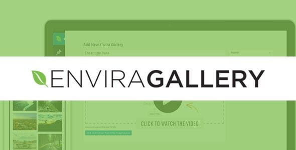 Envira Gallery – Downloads Addon Envira Gallery – Downloads Addon