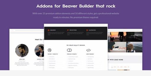 Beaver Builder Addons – Pro Version By Livemesh Themes