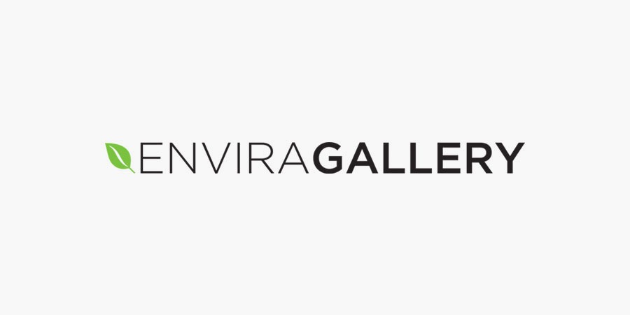 Envira Gallery – TikTok Addon Envira Gallery – TikTok Addon