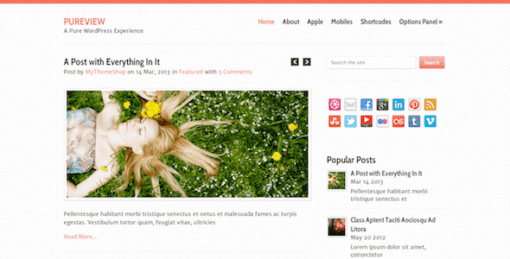 Pureview – Lightweight, Flexible & Powerful WordPress Theme
