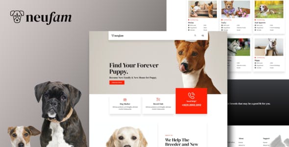 NeuFam – Dog Breeder & Kennel Club Elementor Template Kit NeuFam – Dog Breeder & Kennel Club Elementor Template Kit