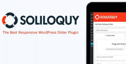 Soliloquy – Dynamic Addon
