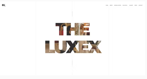 Luxex