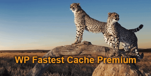 Wp Fastest Cache Premium