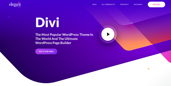 Divi Builder Divi Builder