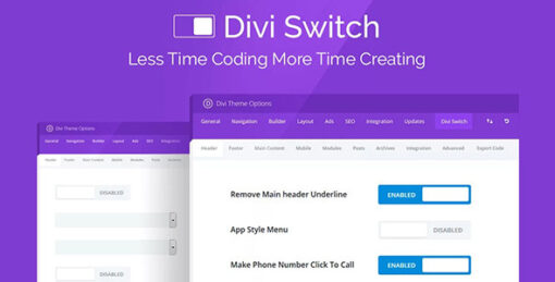 Divi Switch