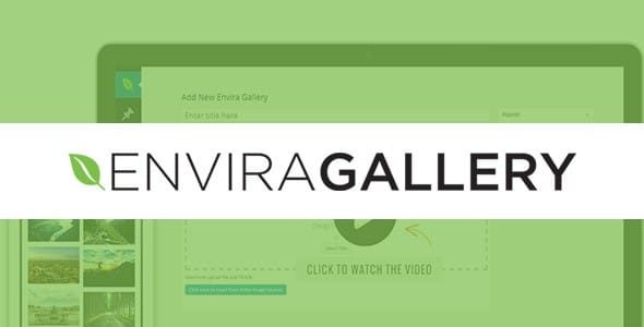 Envira Gallery – Schedule Addon Envira Gallery – Schedule Addon