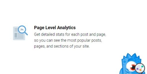 MonsterInsights – Page Insights Addon