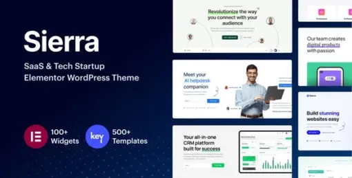 Sierra – SaaS & Tech Startup