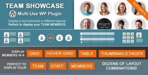 WP Team Showcase and Slider Pro