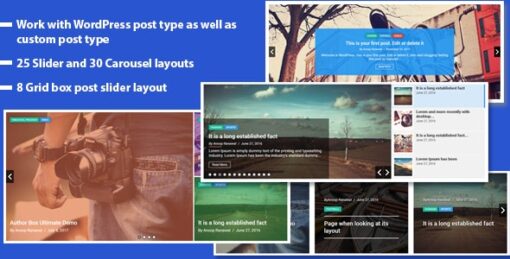 WP Responsive Recent Post Slider Pro