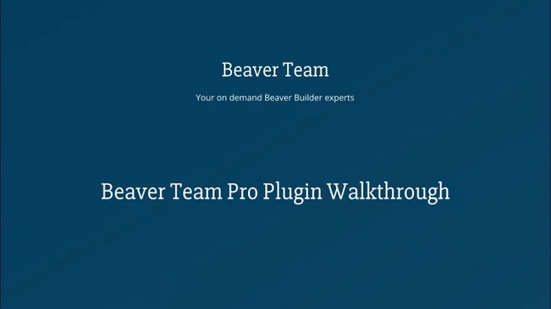 Beaver Team Pro Beaver Team Pro