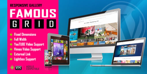 Famous Grid Image and Video Gallery