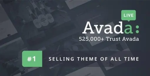 Avada Custom Branding