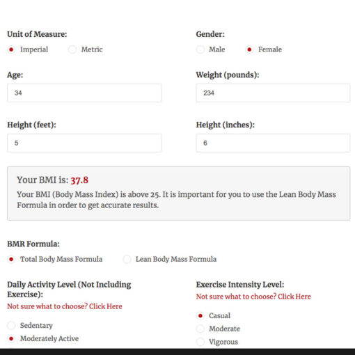 The Macro Tool for WordPress