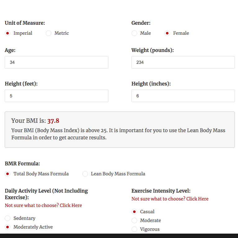 The Macro Tool for WordPress The Macro Tool for WordPress