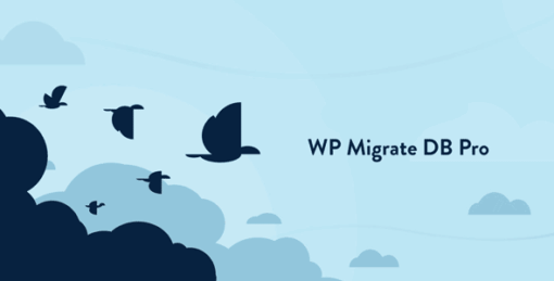 WP Migrate DB Pro