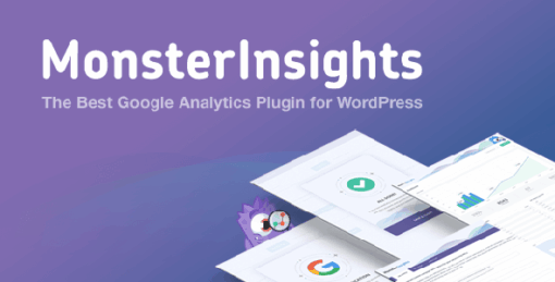 Monsterinsights Ads Addon