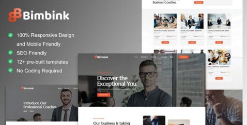 Bimbink – Business Coach & Consulting Elementor Template Kit