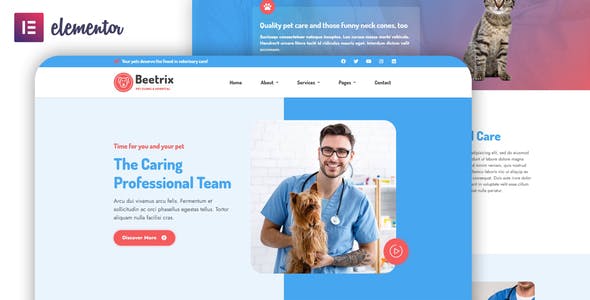 Beetrix – Pet Clinic & Hospital Elementor Template Kit Beetrix – Pet Clinic & Hospital Elementor Template Kit